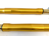 Genuine Ducati Panigale 1199s 1299s Ohlins Forks Suspension FG9251 Serviced3