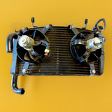 Genuine Ducati 2.8L  749 999 Used Engine Radiator With Cooling Fans 54840412A0